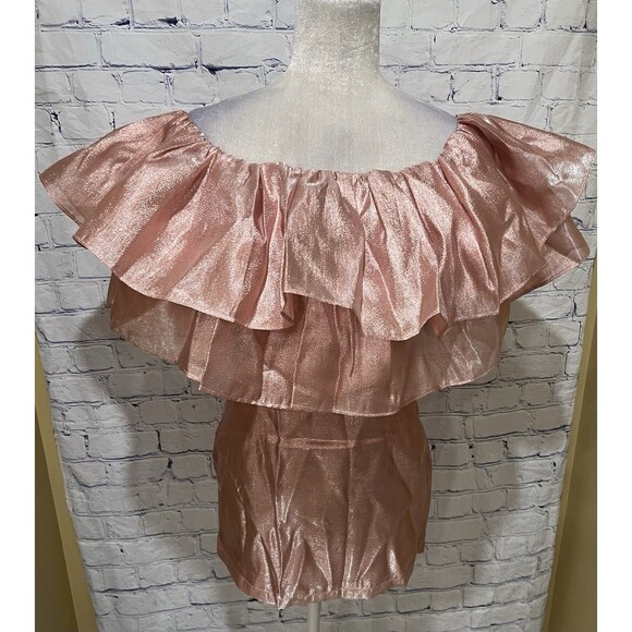 NWT Choosy Copper Rose Organza Dress - NWT Pink Shimmer - Size XS - Picture 2 of 8